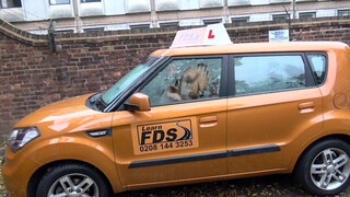 Fake Driving Schoolhatalmas cicis barna bige istenien szexel