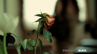 Angelica Heart análba rakva